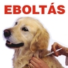 eboltas(1).jpg